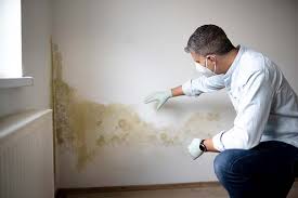 Mold Odor Removal Services in Fort Lauderdale, FL